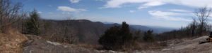 DSCF3174