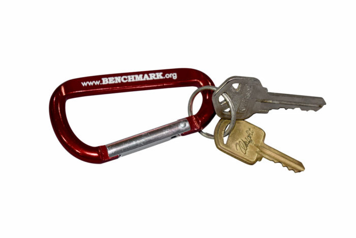 Carabiner keyring