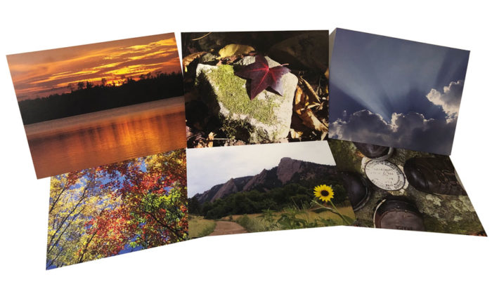 Note Cards